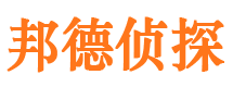 库车调查公司